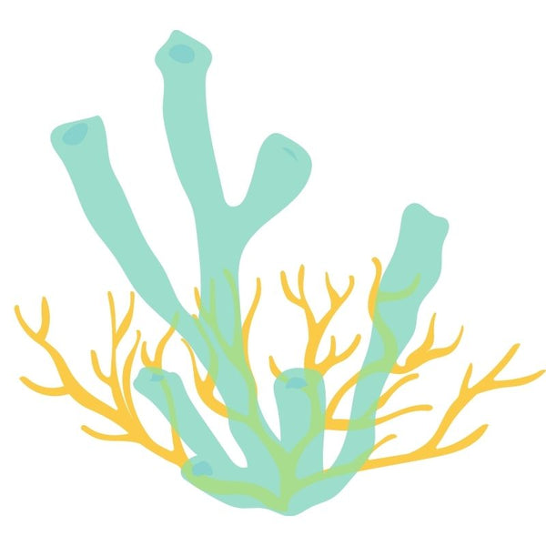 Light green and yellow coral representing Nöz’s reef safe sunscreen formula.